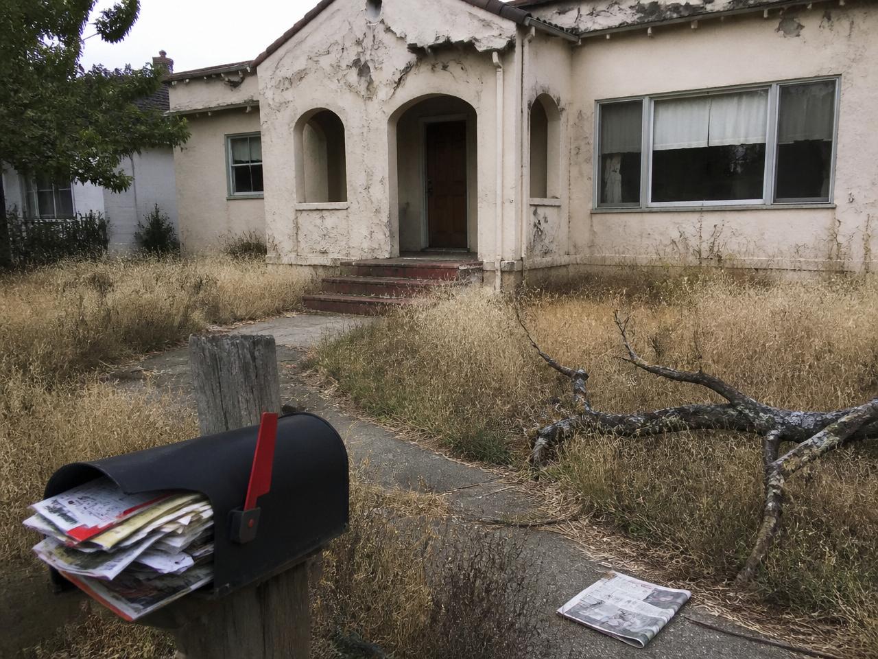 Overgrown distressed Bay Area home yard before DPI property preservation